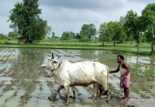 शेतकऱ्यांच्या हितासाठी विविध योजना