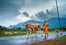 केरळमध्ये ६ जूनला तर राज्यात १२ जूनला मॉन्सूनची हजेरी
