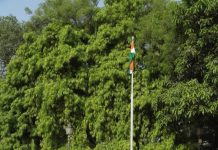 राजधानीत महाराष्ट्र दिन उत्साहात साजरा