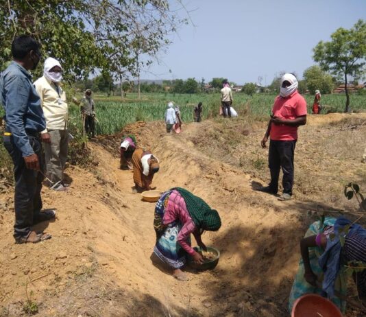 ४६ हजाराहून अधिक कामांवर ५ लाख ९२ हजार मजूरांची उपस्थिती – मुख्यमंत्री