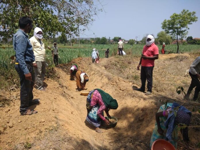 ४६ हजाराहून अधिक कामांवर ५ लाख ९२ हजार मजूरांची उपस्थिती – मुख्यमंत्री